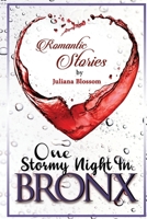 One Stormy Night In Bronx 1670822516 Book Cover