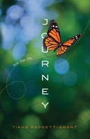 Journey 1684881404 Book Cover