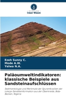 Paläoumweltindikatoren: klassische Beispiele aus Sandsteinaufschlüssen (German Edition) 6208248272 Book Cover