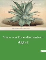 Agave 1482380846 Book Cover