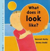 What Does It Look Like? (Reidy, Hannah. in Between Books.) 1840891548 Book Cover