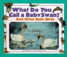 What Do You Call a Baby - Swan? And Other Baby Birds (What Do You Call a Baby) 1567113621 Book Cover