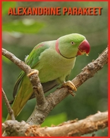 Alexandrine Parakeet: Amazing Pictures and Facts About Alexandrine Parakeet B08VYBNDKW Book Cover