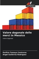 Valore doganale delle merci in Messico (Italian Edition) 6207912969 Book Cover