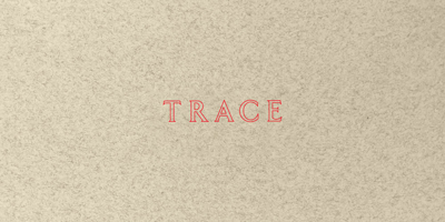 Jenny Holzer: Trace 0892075651 Book Cover