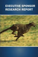 Executive Sponsor Research Report 1329884051 Book Cover