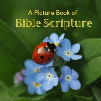 A Picture Book of Bible Scripture: A Beautiful Large Print Picture Book for Seniors With Alzheimer’s or Dementia. null Book Cover