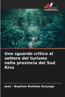 Uno sguardo critico al settore del turismo nella provincia del Sud Kivu 620415351X Book Cover