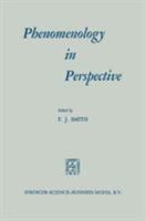 Phenomenology in Perspective 902470118X Book Cover