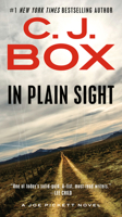 In Plain Sight 0425215792 Book Cover