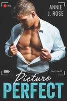 Picture Perfect 1696783224 Book Cover