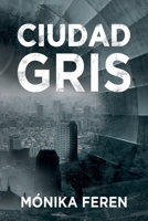 Ciudad Gris: Thriller de misterio y acción • Proyecto Paraboloide • Leo Nakamura B0CD116D8R Book Cover