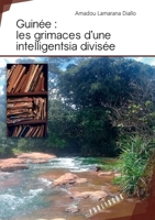 Guinée : les grimaces d'une intelligentsia divisée (French Edition) 2342167741 Book Cover
