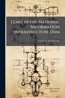 Leaks in the National Information Infrastructure Dam: Who Should Protect It? 128827470X Book Cover