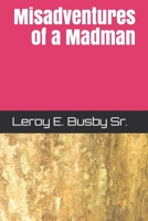 Misadventures of a Madman: This is the book B08LQTH5V9 Book Cover