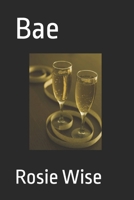 Bae B0CKW1VNN6 Book Cover