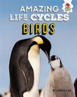 Birds - Amazing Life Cycles 1912108364 Book Cover