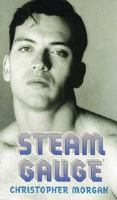 Steam Gauge 1563334739 Book Cover
