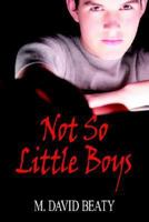 Not So Little Boys 1425939619 Book Cover