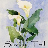 Savior, Tell 1493708368 Book Cover
