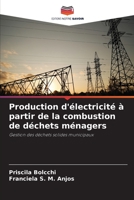 Production d'électricité à partir de la combustion de déchets ménagers 6206282562 Book Cover