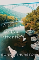 A Place to Pay Attention 1909077399 Book Cover