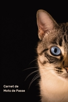 Carnet de Mots de Passe - Sites Internet: Petit organiseur avec onglets alphabétiques de A à Z pour se rappeler des informations d'identification des sites web (French Edition) 1672293855 Book Cover