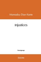 Injustices (French Edition) 2414475773 Book Cover
