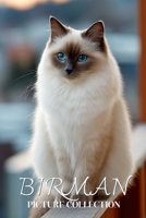 Birman Cat Photo Collection: Sacred Full-Page Pictures of Birman Cats and Kittens for All Ages (Calming Pet Books) B0GHRB1KDK Book Cover