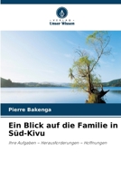 Ein Blick auf die Familie in Süd-Kivu (German Edition) 6630079299 Book Cover