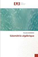 Géométrie algébrique 6203430358 Book Cover