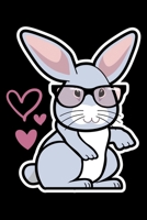 Composition Notebook: Nerdy Rabbit in Glasses, Geek Bunny Lined Notebook Journal Diary 6x9 1670907279 Book Cover