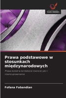 Prawa podstawowe w stosunkach miedzynarodowych (Polish Edition) 6209715982 Book Cover