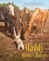 Maddy Meets the Horses (Maddy Chronicles) 103834316X Book Cover