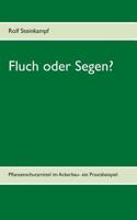 Fluch oder Segen? (German Edition) 3749454302 Book Cover