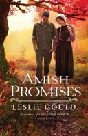 Amish Promises 0764215086 Book Cover
