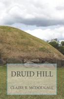 Druid Hill: Book 2 1093566930 Book Cover