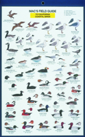 Mac's Field Guide To California Coastal Birds (Mac's Guides (Flash Cards)) 0898862612 Book Cover