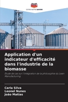 Application d'un indicateur d'efficacité dans l'industrie de la biomasse (French Edition) 6202737573 Book Cover