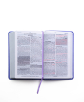 Rv-60 Biblia de Promesas - Tamao Manual- Edicin Lavanda Imitacin Piel 0789925540 Book Cover