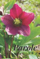 Parole B0BZ2118J3 Book Cover