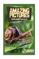 Amazing Pictures and Facts about Snails: The Most Amazing Fact Book for Kids about Snails 1541209087 Book Cover