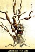 Job: Return From Exile: How can our suffering make sense? 130082090X Book Cover