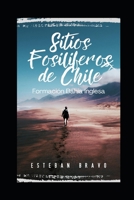 Sitios Fosilíferos de Chile: Formación Bahía Inglesa (Spanish Edition) B0CJBLMWSH Book Cover