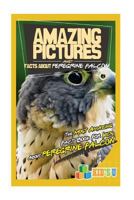 Amazing Pictures and Facts about Peregrine Falcons: The Most Amazing Fact Book for Kids about Peregrine Falcons 1547183632 Book Cover
