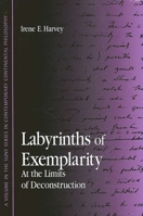 Labyrinths of Exemplarity: At the Limits of Deconstruction (Suny Series in Contemporary Continental Philosophy) 0791454649 Book Cover