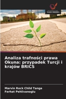 Analiza trafnosci prawa Okuna: przypadek Turcji i krajów BRICS (Polish Edition) 6208835119 Book Cover