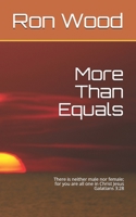 More Than Equals 1072025531 Book Cover