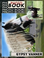 Gypsy Vanner Photo Book: Stunning Collection Of 40 Unique Images Featuring Majestic Horses For Equestrian Enthusiasts B0DPXL1RSB Book Cover