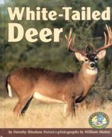 White-Tailed Deer 082253052X Book Cover